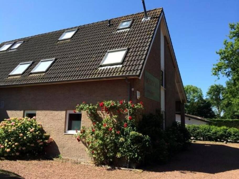 Boszicht 3 Appartement In Oostkapelle Exterior foto